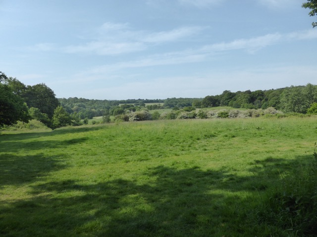 22.5.2018 ( Section 13 )