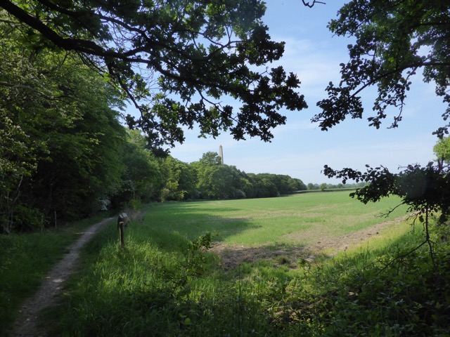 22.5.2018 ( Section 13 )