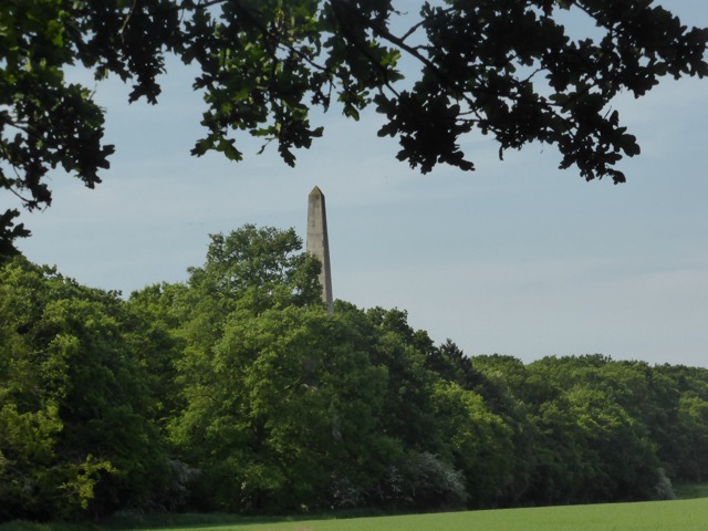 22.5.2018 ( Section 13 )