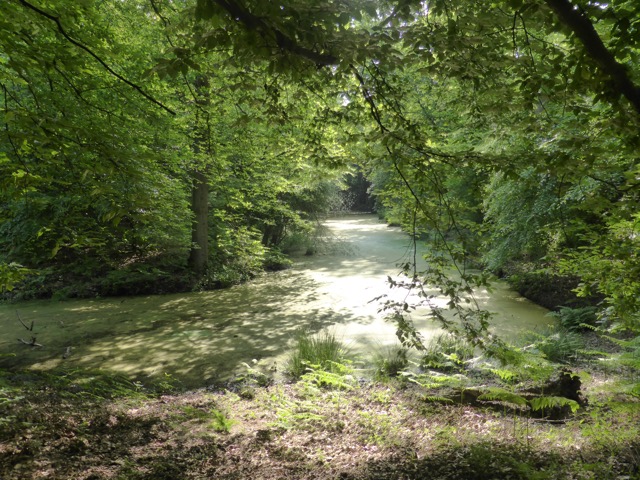 22.5.2018 ( Section 13 )