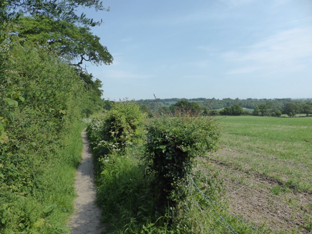 22.5.2018 ( Section 13 )