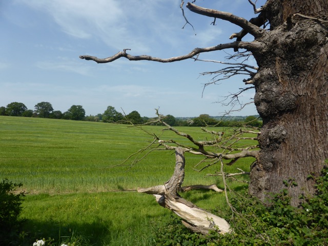 22.5.2018 ( Section 13 )