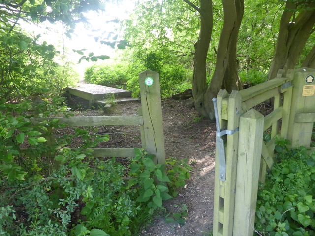 22.5.2018 ( Section 13 )