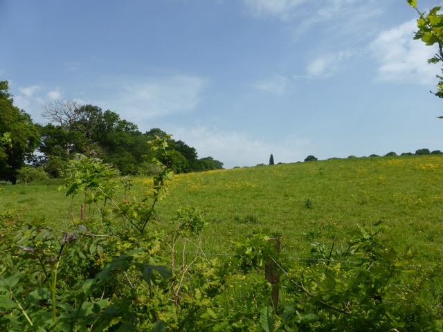 22.5.2018 ( Section 13 )