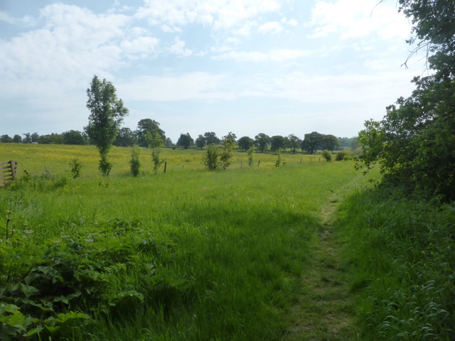 22.5.2018 ( Section 13 )