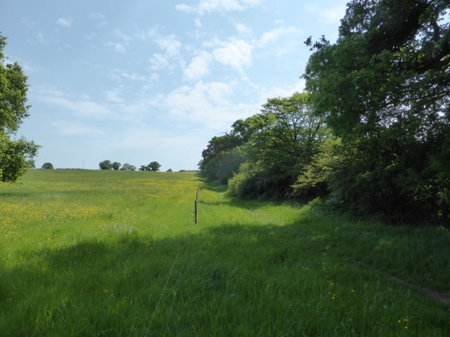 22.5.2018 ( Section 13 )