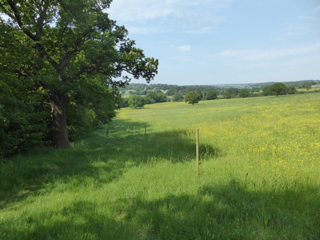 22.5.2018 ( Section 13 )