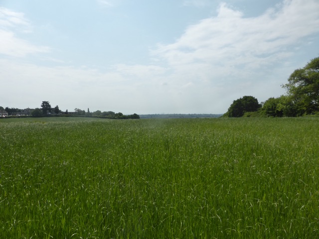 22.5.2018 ( Section 13 )