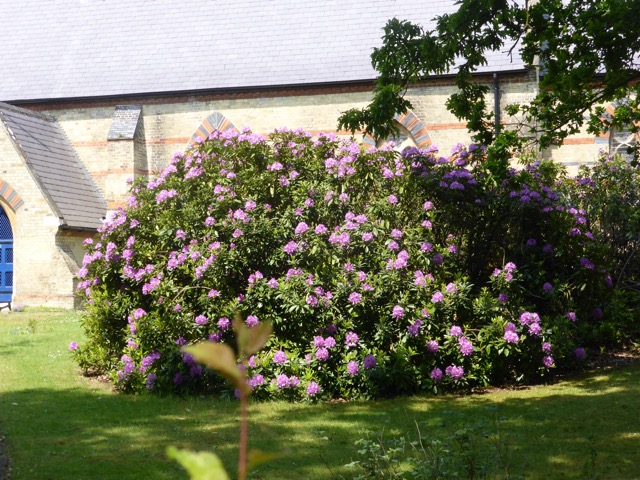 22.5.2018 ( Section 13 )