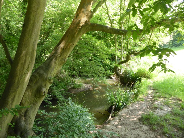 22.5.2018 ( Section 13 )