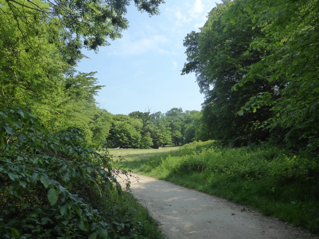 22.5.2018 ( Section 13 )