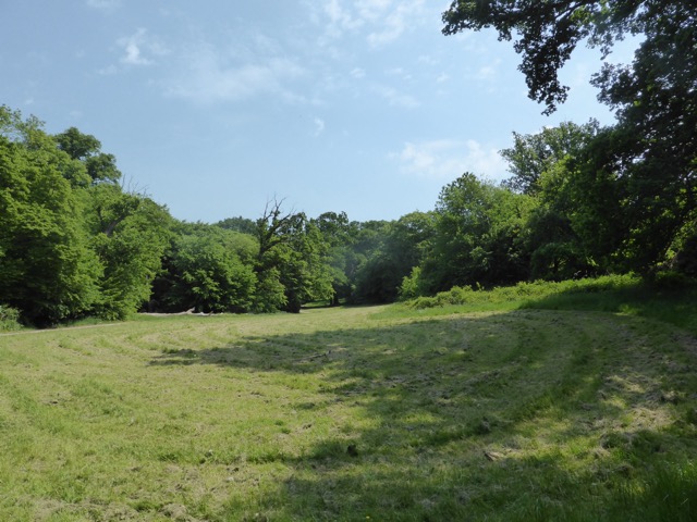 22.5.2018 ( Section 13 )