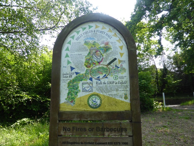 22.5.2018 ( Section 13 )