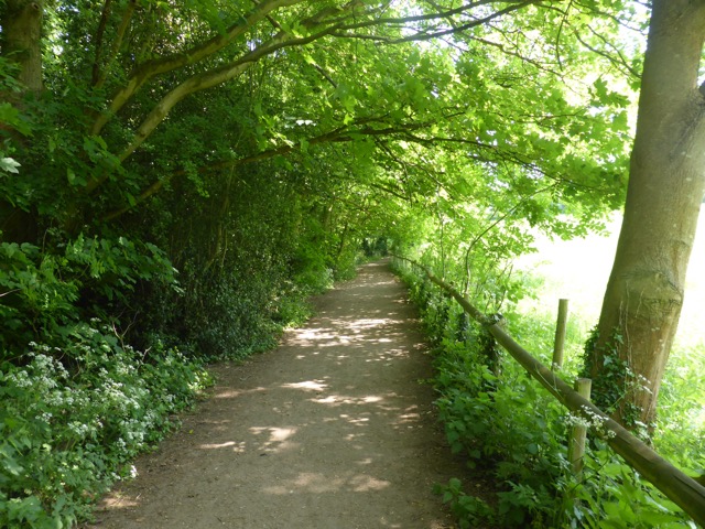 22.5.2018 ( Section 13 )