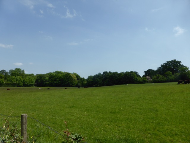 22.5.2018 ( Section 13 )