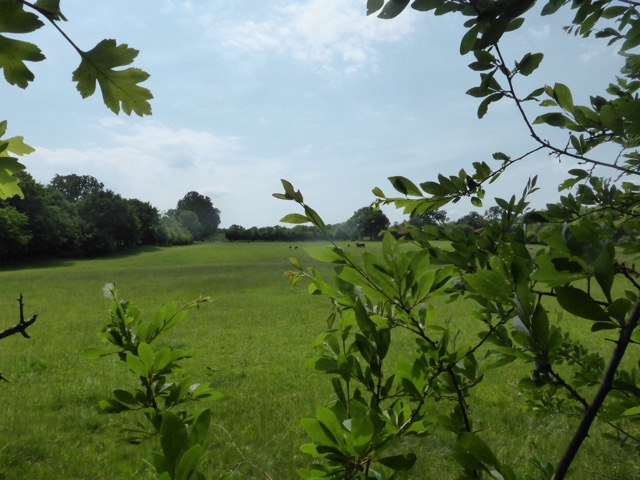 22.5.2018 ( Section 13 )