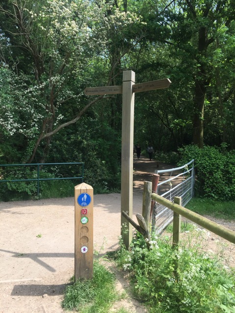 22.5.2018 ( Section 13 )