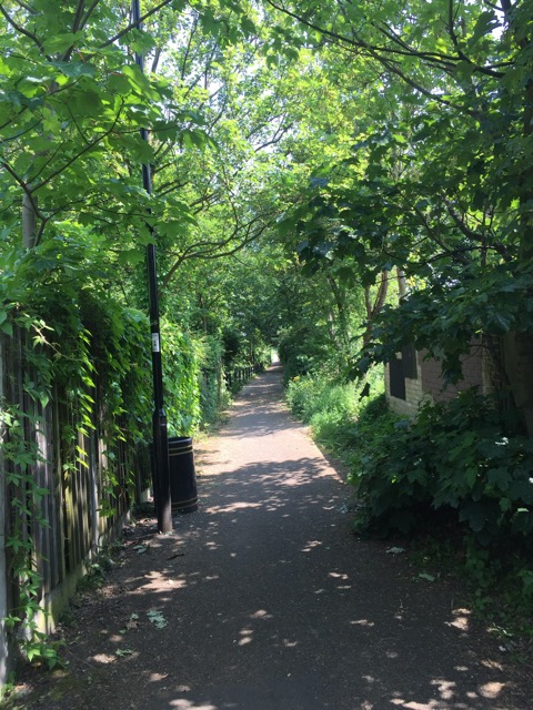 22.5.2018 ( Section 13 )