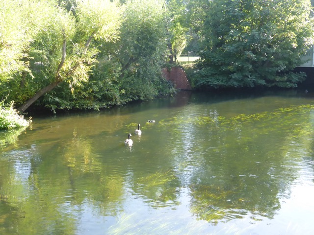 15.9.2018 ( Section 14 )