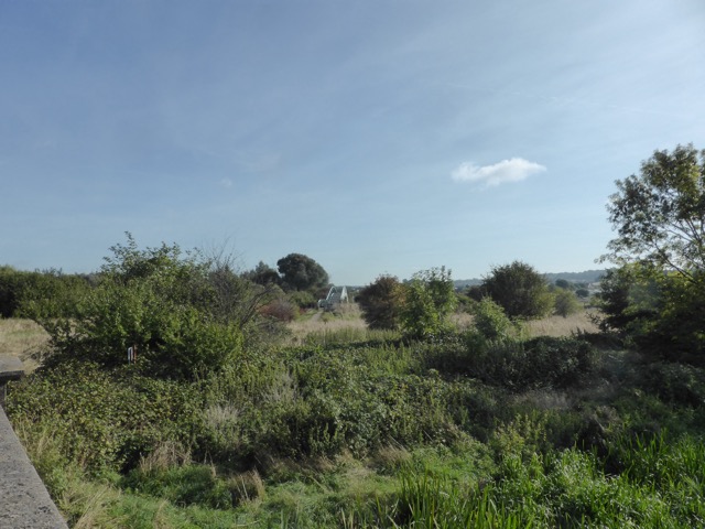 15.9.2018 ( Section 14 )