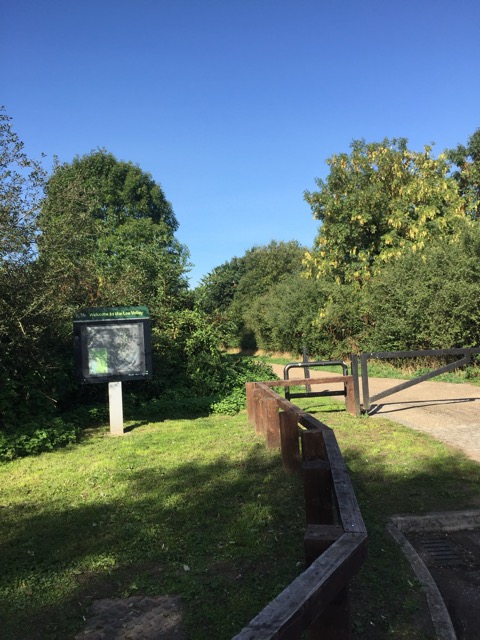 15.9.2018 ( Section 14 )