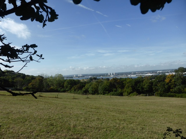 15.9.2018 ( Section 14 )