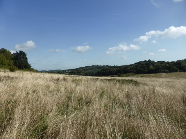 15.9.2018 ( Section 14 )