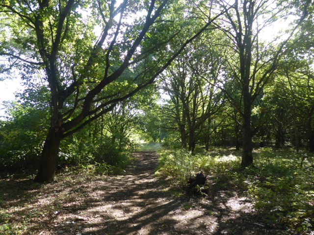 15.9.2018 ( Section 14 )