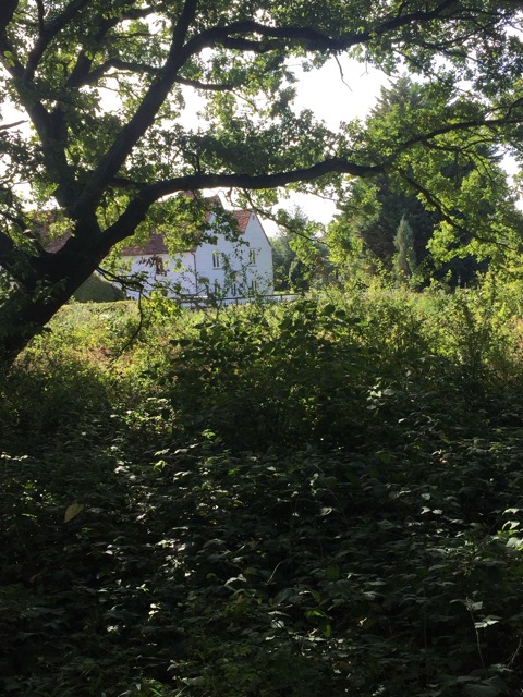 15.9.2018 ( Section 14 )