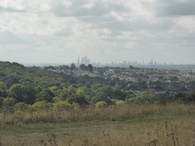 15.9.2018 ( Section 14 )