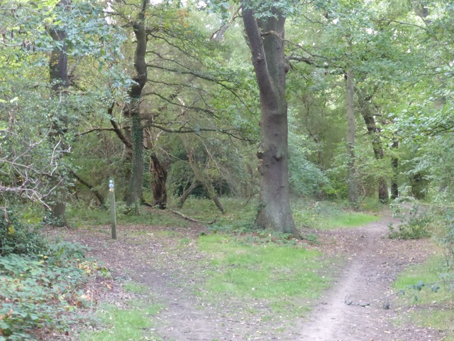 15.9.2018 ( Section 14 )