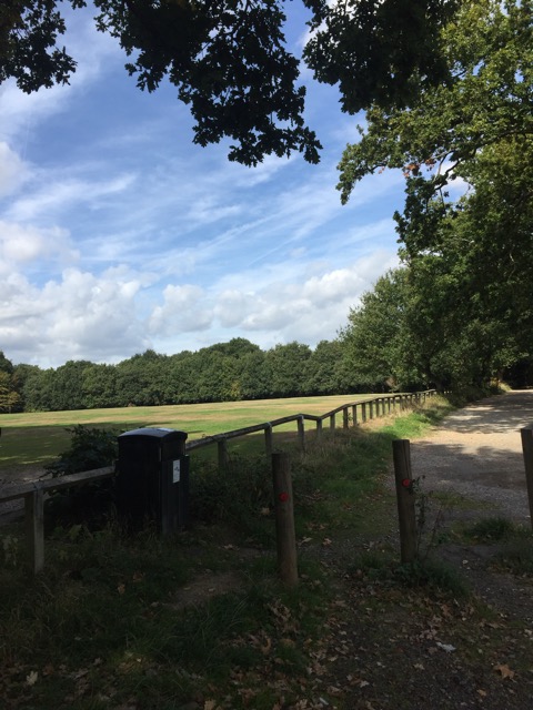 15.9.2018 ( Section 14 )