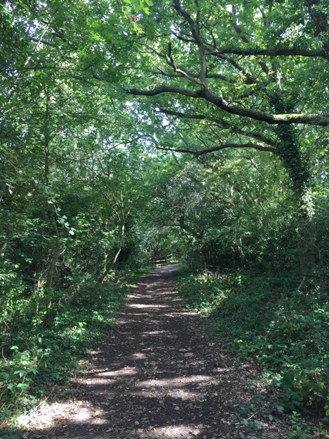 15.9.2018 ( Section 14 )