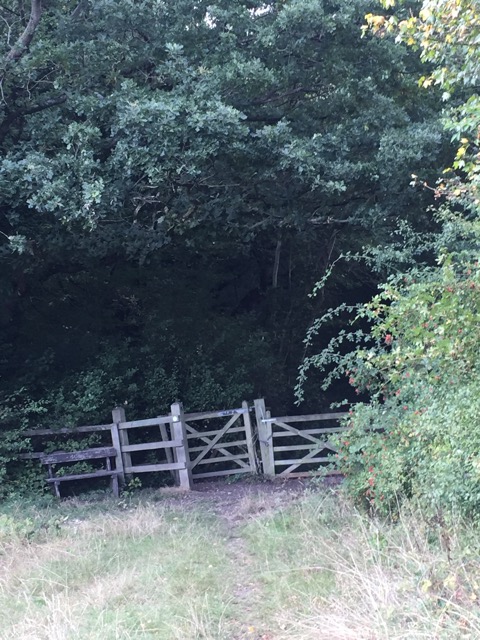 15.9.2018 ( Section 14 )