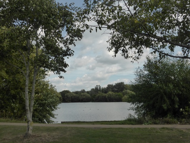 15.9.2018 ( Section 14 )