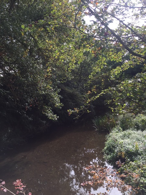 15.9.2018 ( Section 14 )