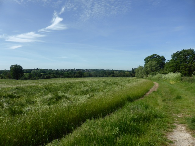 LL Section 15 ( 1.6.2019 )