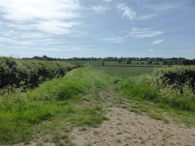 LL Section 15 ( 1.6.2019 )