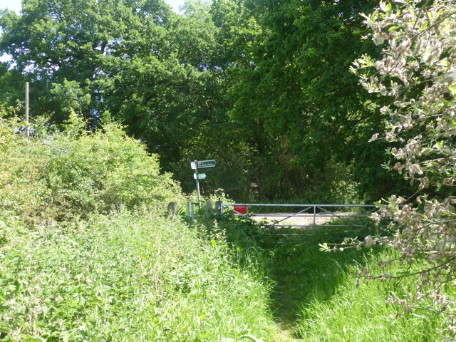 LL Section 15 ( 1.6.2019 )