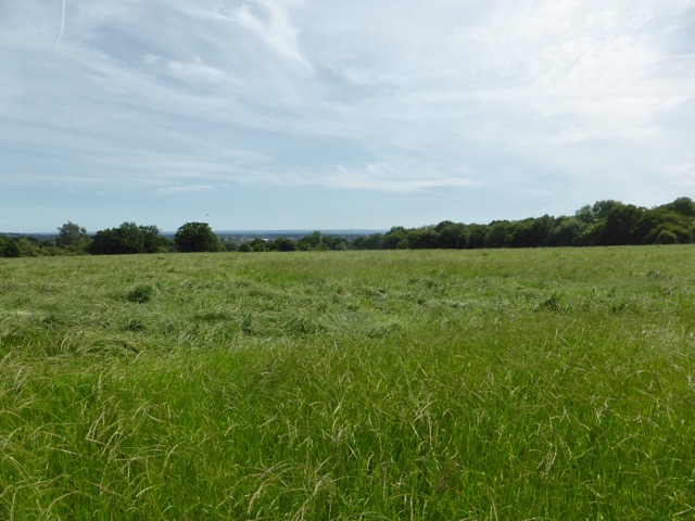 LL Section 15 ( 1.6.2019 )