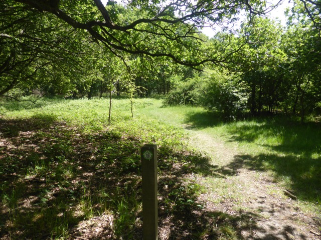 LL Section 15 ( 1.6.2019 )