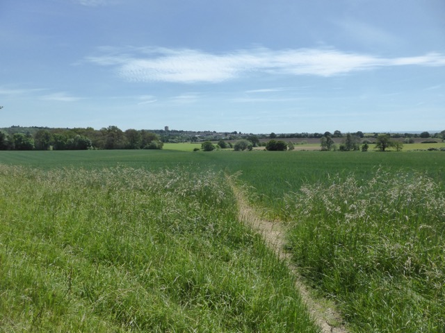 LL Section 15 ( 1.6.2019 )