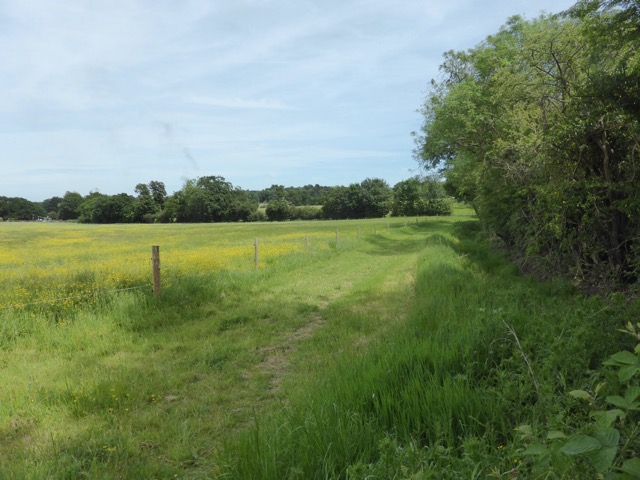 LL Section 15 ( 1.6.2019 )