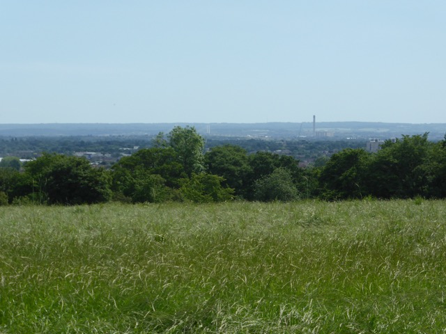 LL Section 15 ( 1.6.2019 )