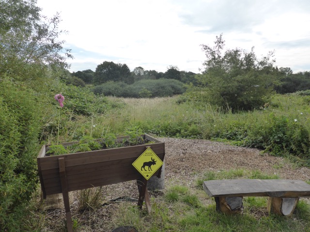 LL Section 16 ( 23.7.2020 )