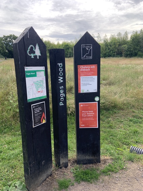 LL Section 16 ( 23.7.2020 )