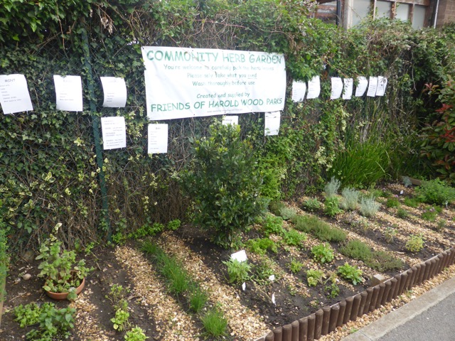 LL Section 16 ( 23.7.2020 )