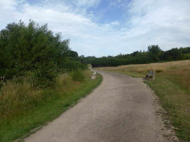 LL Section 16 ( 23.7.2020 )