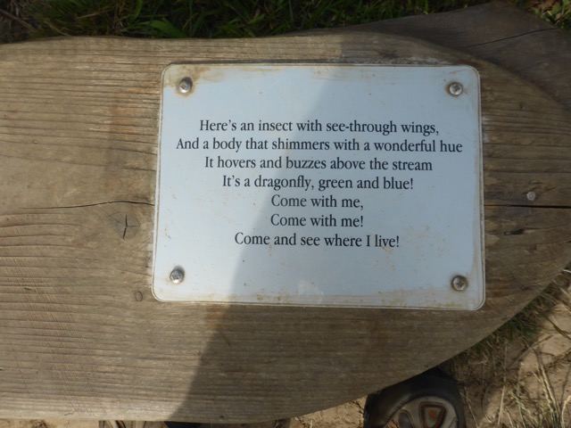 LL Section 16 ( 23.7.2020 )