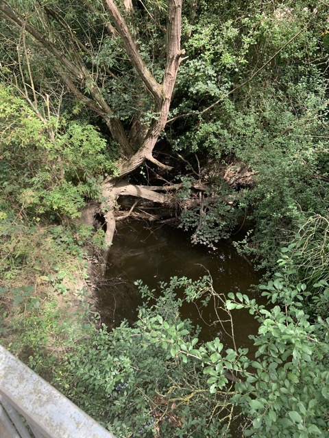 LL Section 16 ( 23.7.2020 )